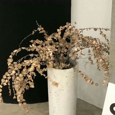 兽设海洋场景设计福瑞群